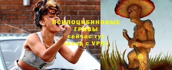 винт Аркадак