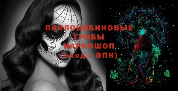 мдпв Арсеньев