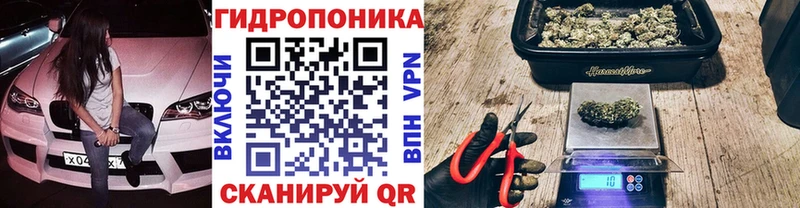 купить   маркетплейс клад  Марихуана MAZAR  Порхов 